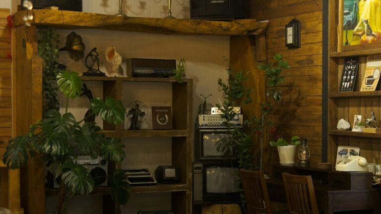 Cozy room with vintage decor and plants