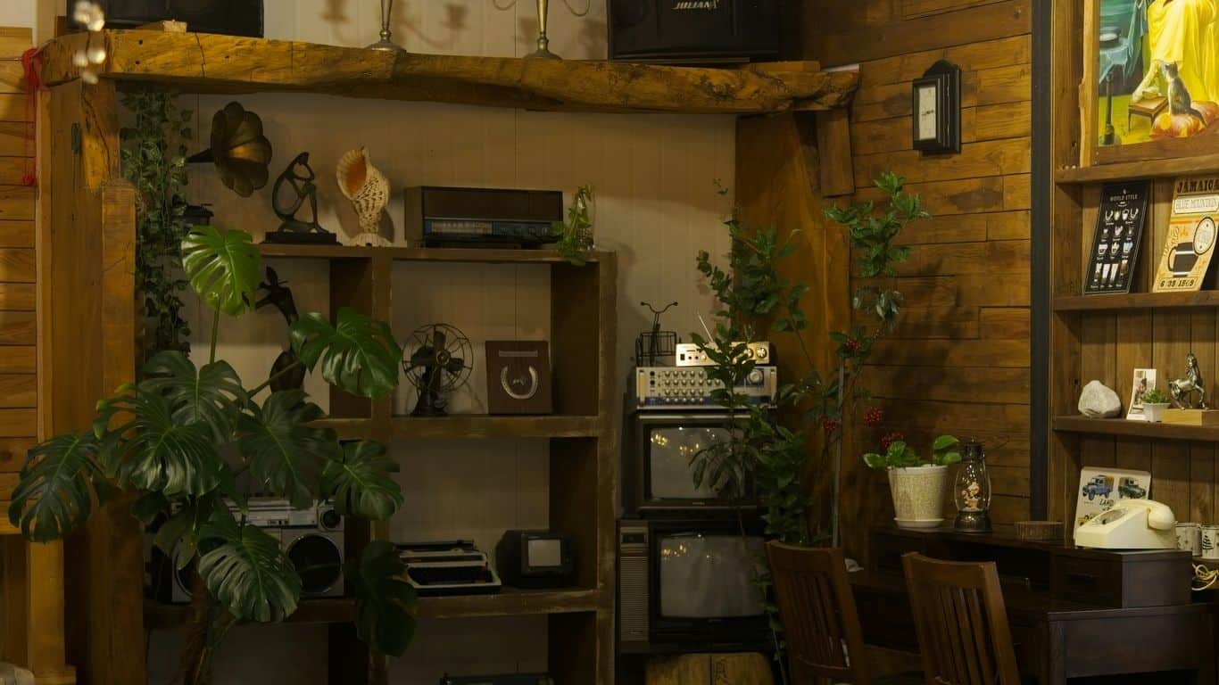 Cozy room with vintage decor and plants
