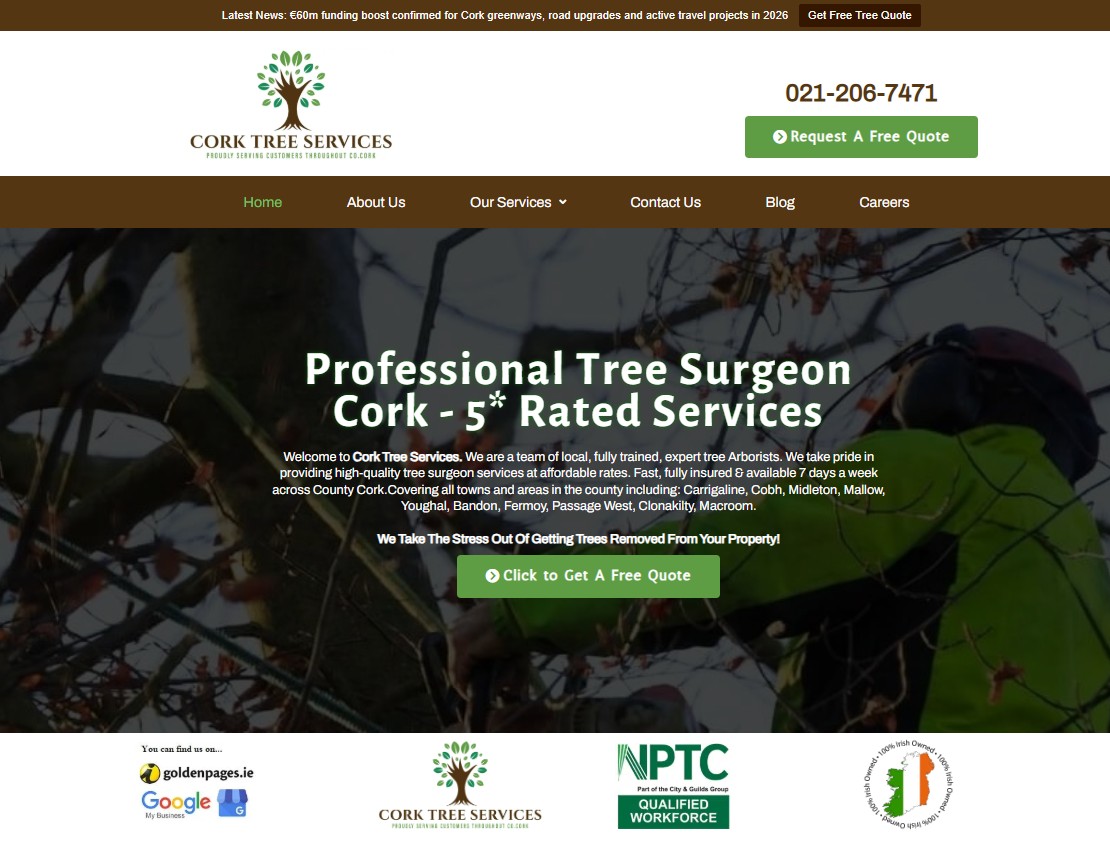 Tree surgeon crew clearing a garden in Cork, Ireland